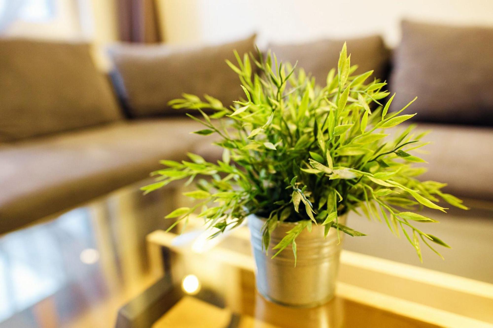 Allure Nautica Aparthotel ชเตชชิน ภายนอก รูปภาพ